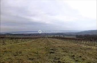 Eladó Sukorói termőföld, szántó hirdetés (73448747)