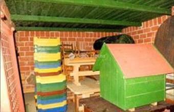 Eladó Pázmándi üdülőövezeti telek hirdetés (67353374)