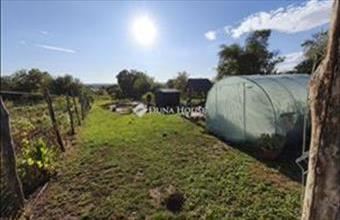 Eladó Bicskei családi ház hirdetés (51933247)