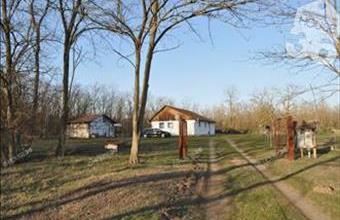 Eladó Nyárlőrinci tanya hirdetés (36583117)