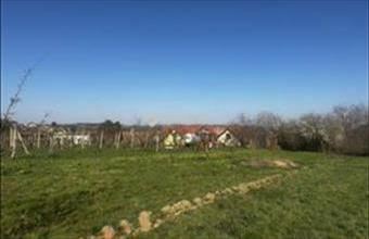 Eladó Villányi lakóövezeti telek hirdetés (59994976)