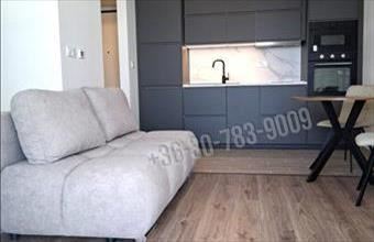 Kiadó Budapest XIV. kerületi tégla lakás hirdetés (73577435)