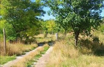 Eladó Balatonfüredi egyéb telek hirdetés (43349799)
