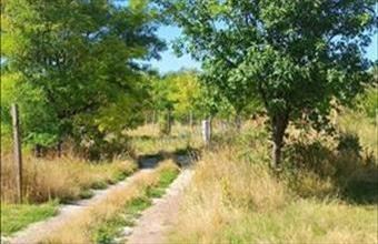 Eladó Balatonfüredi egyéb telek hirdetés (43349799)