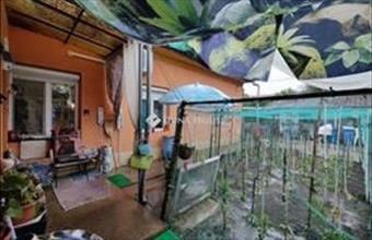 Eladó Vecsési családi ház hirdetés (55449681)