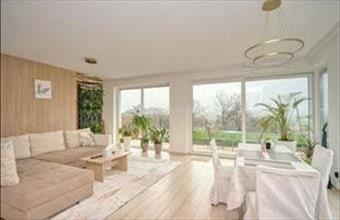 Eladó Solymári ikerház hirdetés (24163552)