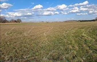 Eladó Ebergőci egyéb mezőgazdasági ingatlan hirdetés (27986611)