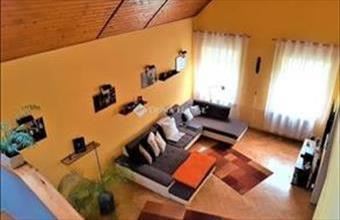 Eladó Halászteleki családi ház hirdetés (49984459)