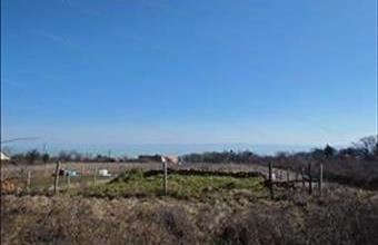 Eladó Balatonszepezdi egyéb mezőgazdasági ingatlan hirdetés (24429489)