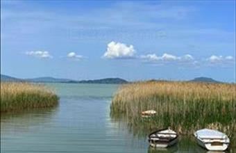 Eladó Balatonfenyvesi hétvégi ház hirdetés (76225533)