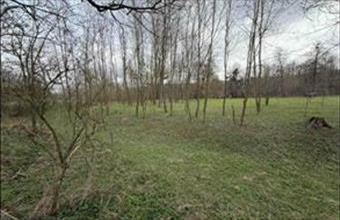 Eladó Jásdi egyéb mezőgazdasági ingatlan hirdetés (26827434)