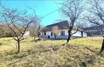 Eladó Tésai családi ház hirdetés (54852653)