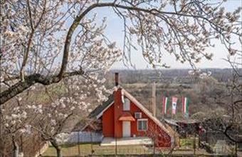 Eladó Budapest III. kerületi családi ház hirdetés (73695852)