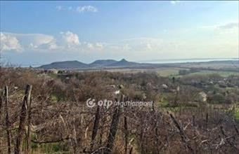 Eladó Hegymagasi külterületi telek hirdetés (33446735)