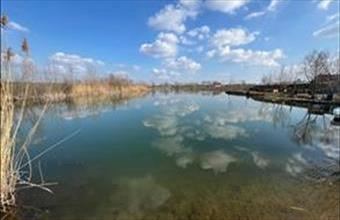 Eladó Győrújfalui lakóövezeti telek hirdetés (47634961)