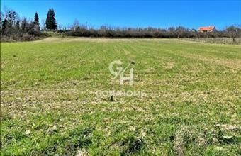 Eladó Balatoncsicsói termőföld, szántó hirdetés (96447743)