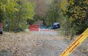 Eladó Pócsmegyeri hétvégi ház hirdetés (97377481)