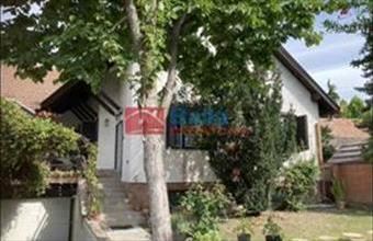 Eladó Ráckevei családi ház hirdetés (59654133)