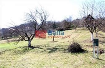 Eladó Pázmándi egyéb telek hirdetés (85465824)