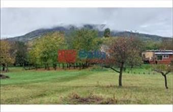 Eladó Badacsonytomaji családi ház hirdetés (44532476)