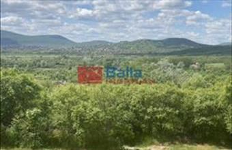 Eladó Szentendrei egyéb telek hirdetés (93944344)