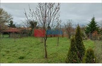 Eladó Zamárdi egyéb telek hirdetés (33217564)