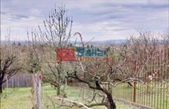 Eladó Kerepesi hétvégi ház hirdetés (38171857)