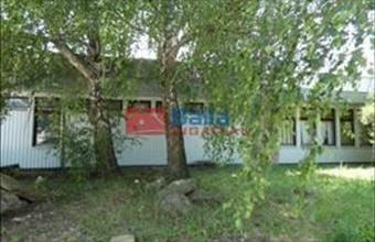 Eladó Szentendrei egyéb üzlethelyiség hirdetés (49253349)