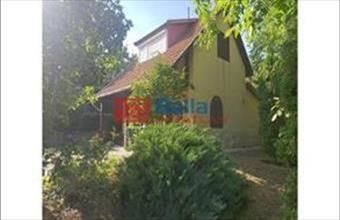 Eladó Piliscsévi hétvégi ház hirdetés (44322974)