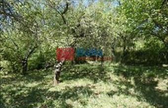 Eladó Pilisborosjenői egyéb telek hirdetés (93449463)