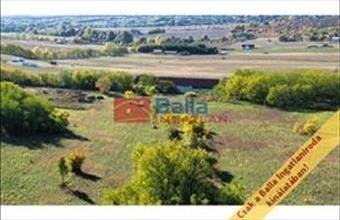 Eladó Őrbottyáni egyéb telek hirdetés (39695488)