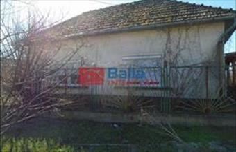 Eladó Tiszakécskei családi ház hirdetés (46499339)