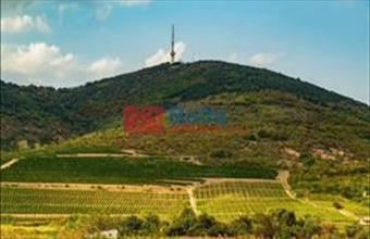 Eladó Tokaji egyéb telek hirdetés (87773552)