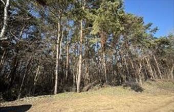 Eladó Debreceni külterületi telek hirdetés (72474646)