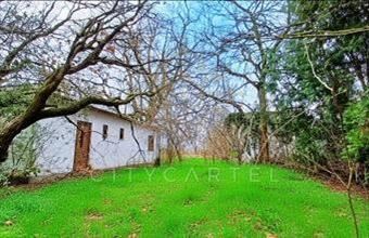 Eladó Balatonfenyvesi családi ház hirdetés (41515647)