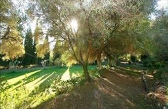 Eladó Spanyolországi lakóövezeti telek hirdetés (72394337)