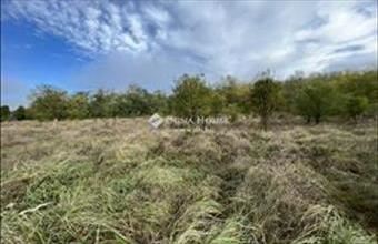 Eladó Csömöri külterületi telek hirdetés (49335436)