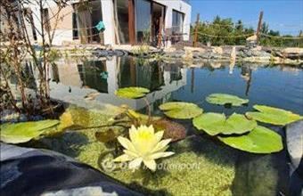 Eladó Solymári ikerház hirdetés (54863572)