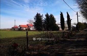 Eladó Kecskeméti egyéb mezőgazdasági ingatlan hirdetés (33453942)