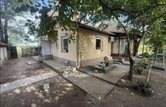 Eladó Tiszakécskei tanya hirdetés (82349477)