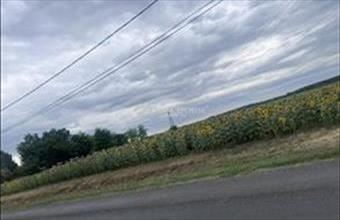 Eladó Tápiógyörgyei lakóövezeti telek hirdetés (21348475)