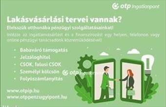 Eladó Vecsési családi ház hirdetés (79732452)