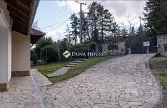 Eladó Leányfalui családi ház hirdetés (42746346)