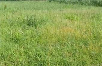 Eladó Siófoki lakóövezeti telek hirdetés (54383879)