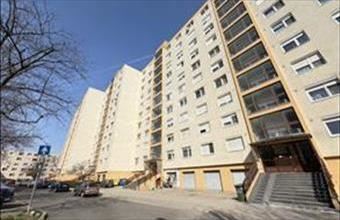 Eladó Székesfehérvári panel lakás hirdetés (51763597)