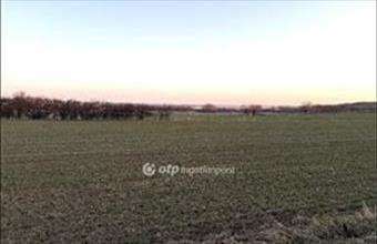 Eladó Sukorói lakóövezeti telek hirdetés (47342474)