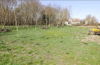 Eladó Pápai lakóövezeti telek hirdetés (63433557)