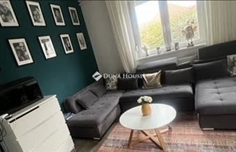 Eladó Adonyi családi ház hirdetés (91495579)