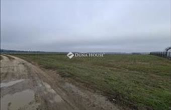 Eladó Sülysápi családi ház hirdetés (74829176)