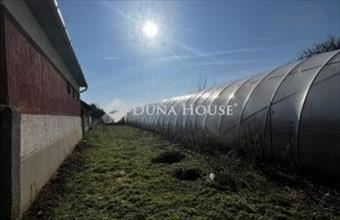 Eladó Jászfényszarui lakóövezeti telek hirdetés (64589461)